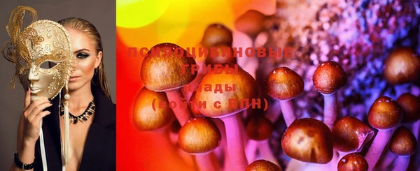 мяу мяу мука Лабытнанги